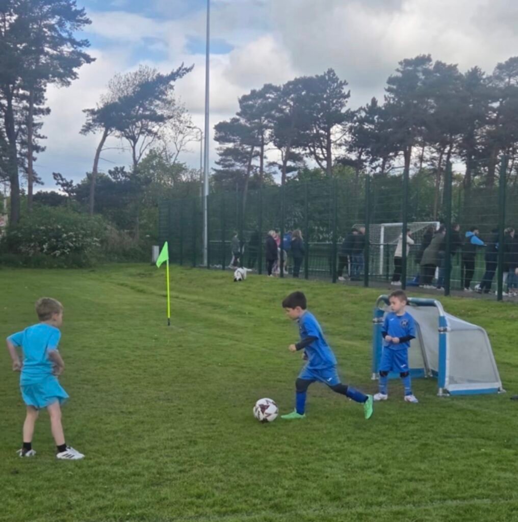 Crossgates Primrose 2020s